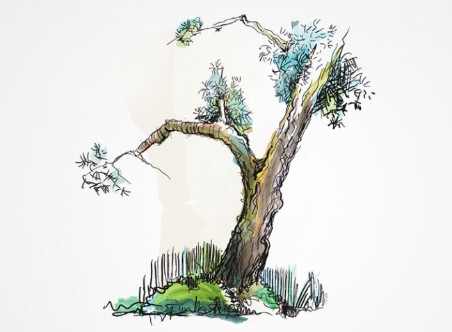 free-doodled-trees-brush-set-0424