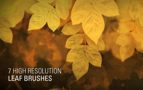 free-leaf-brushes-0412