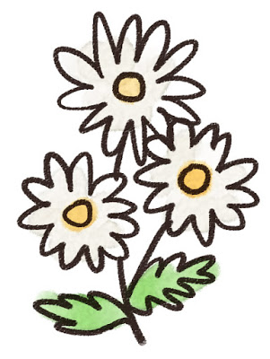 flower_marguerite