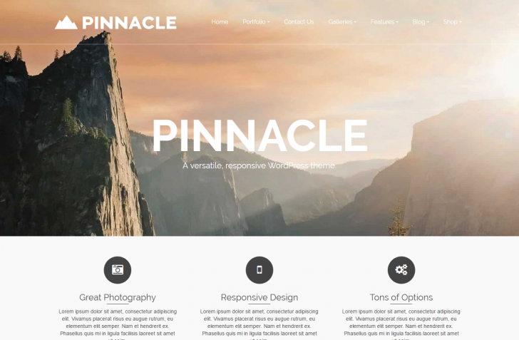 Pinnacle