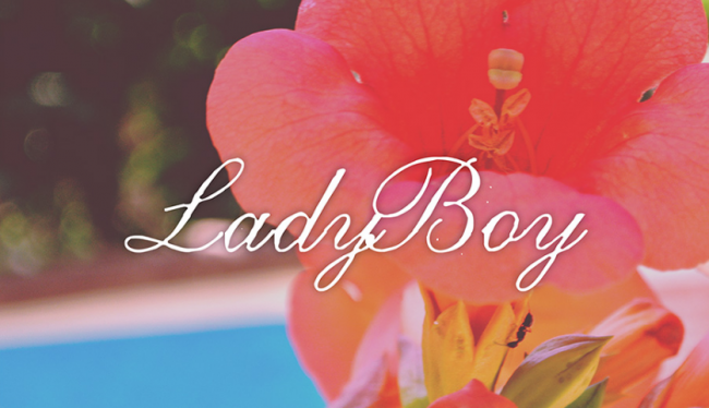 LadyBoy Font 女性的でエレガントなフォント