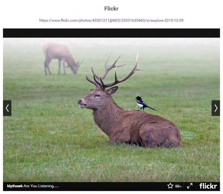 Flickrの埋め込み