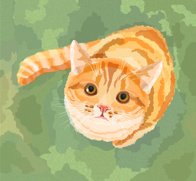 水彩画風のかわいい猫のチュートリアル
