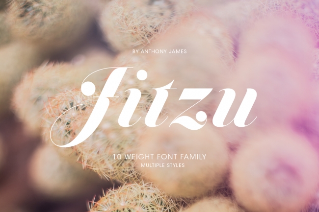 Jitzu Family