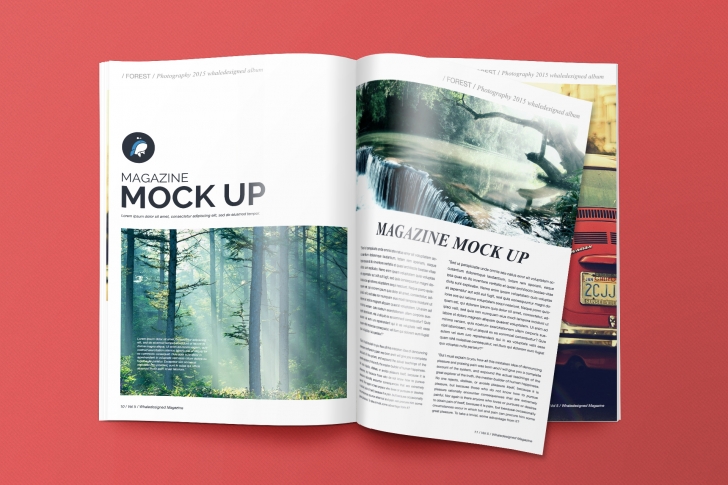 Free Mockup : Magazine + Cover