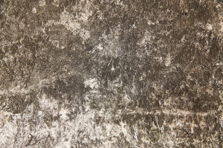 Roughcast Dirty Parget Texture