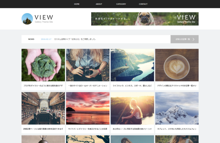 ブログ型ギャラリーサイト「VIEW」